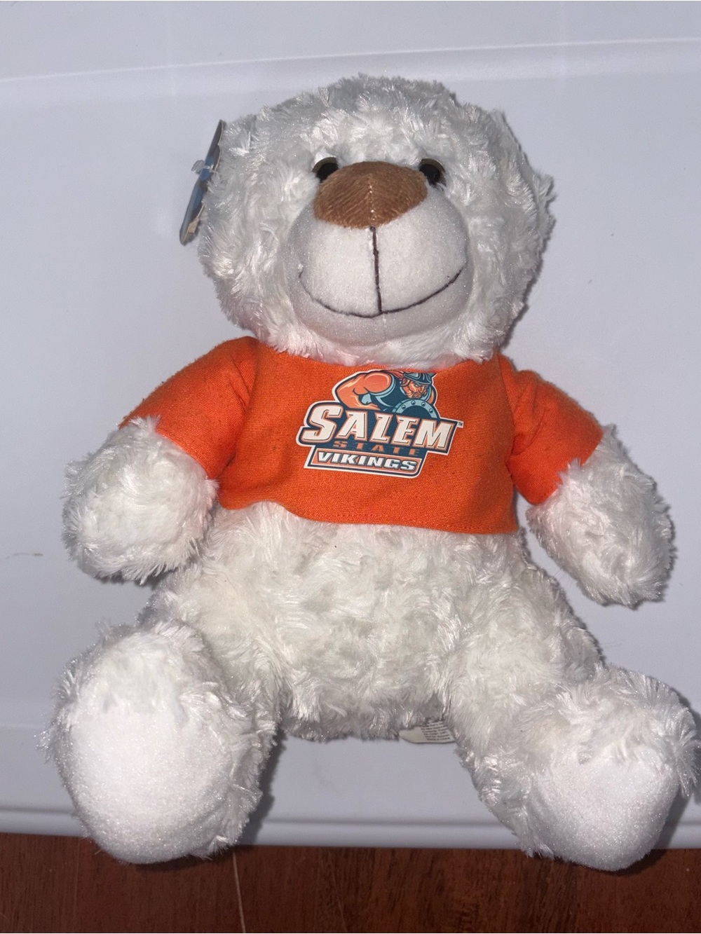 Mascot Factory Salem State University Vikings White and Orange 10 in. Teddy Bear